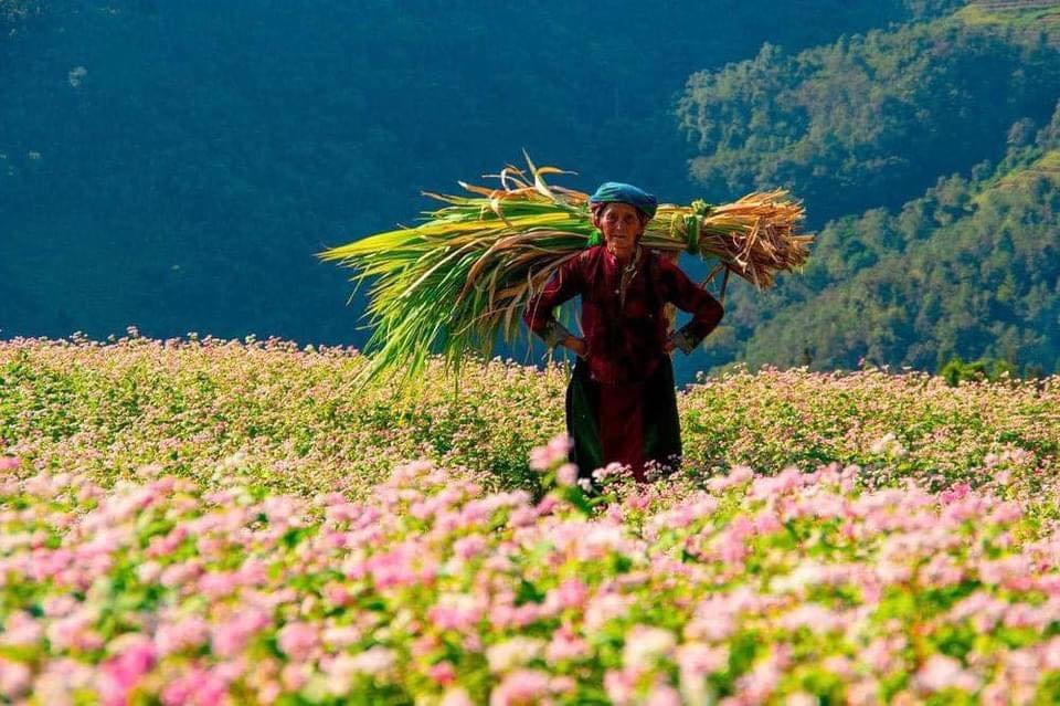 7 Days Bac Ha Trekking To Hoang Su Phi - Ha Giang